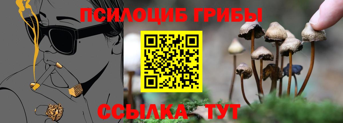 Галлюциногенные грибы мицелий  Вход с VPN  Псилоцибиновые грибы Magic Shrooms  Альметьевск 